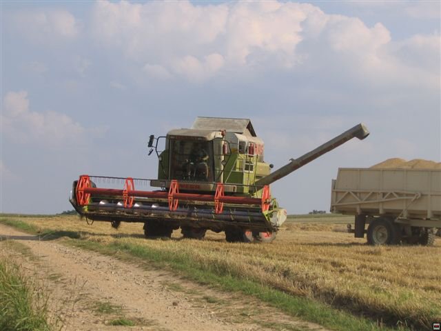 Troubelice 2006 087.jpg